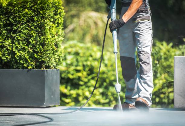Best Roof Washing  in Absecon Highlands, NJ